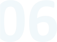 06